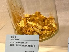 -河南自然博物馆