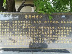 -天涯山