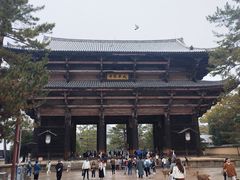 -奈良公园