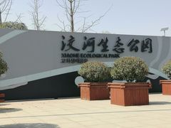 -洨河生态公园