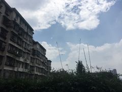 -广州神农草堂中医药博物馆