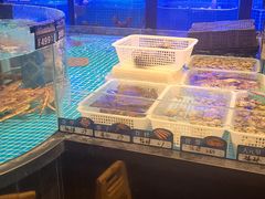 -望海臻鲜·海鲜餐厅