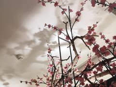 -老板恋上鱼(荣盛广场店)