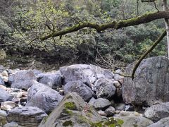 -石台牯牛降景区