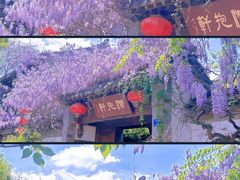 -老门东历史文化街区