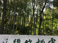 -西湖风景区十里琅珰-五云山