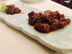 -大铁勺新津菜(东丽阳光新业广场店)