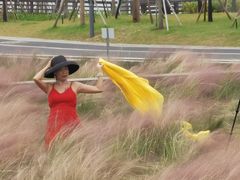 -王借岗森林公园