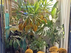 -猫王榴莲世家(三里屯SOHO商场店)