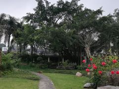 -广西壮族自治区药用植物园