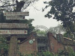 -南山植物园