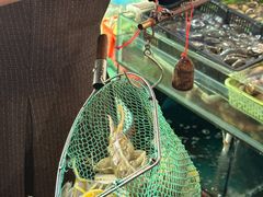 -凯华海鲜火锅·传承三十六年