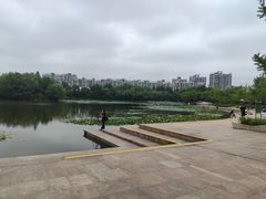 -新江湾城公园