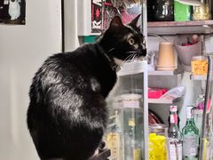 -旧天堂书店(华侨城创意文化园南山特色文化街区店)