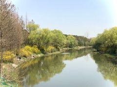 -新江湾城公园