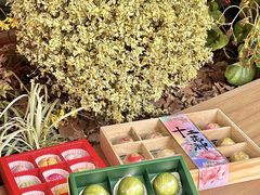 -稻香村(观前街店)