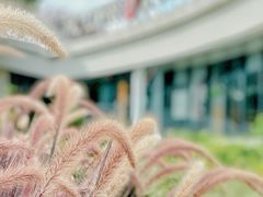 -太平洋咖啡(海天驿站店)