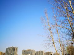 -大兴滨河森林公园