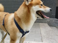 -中国中医科学院西苑医院(本部)