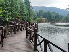 -四明山国家森林公园