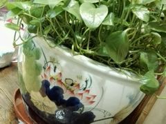 -一记面馆(易发店)