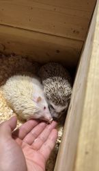 -酷嗒动物文化乐园(cutezoo西溪乐天城店)