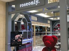 -ROSEONLY诺誓(国际广场购物中心店)