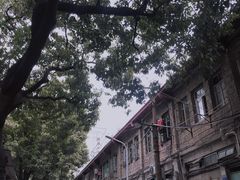 -百家春好德来姜母鸭