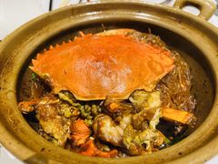 -新同乐鱼翅酒家(美丽华店)