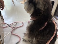 -恒幸动物医院·急重症转诊中心·神经内外科·CT核磁