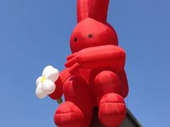 -上街里市集(悦喜客来广场店)