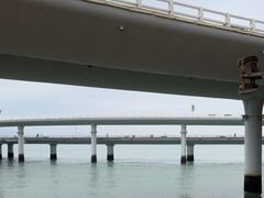 -演武大桥观景平台