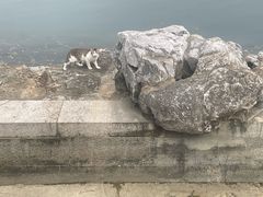 -苏州上方山国家森林公园