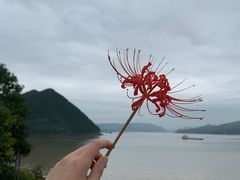 -丰都鬼城名山景区