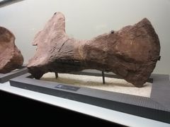 -世界恐龙谷景区