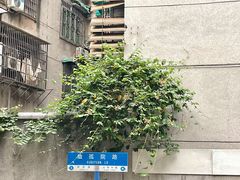 -仁信双皮奶(庙前直街店)
