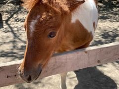 -水上乐园·欢乐世界