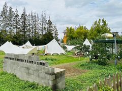 -前小桔亲子创意农场·草莓采摘·露营烧烤