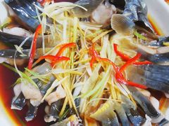 -煲来饱去冷水鱼
