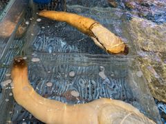 -顺风山庄(水濂山店)