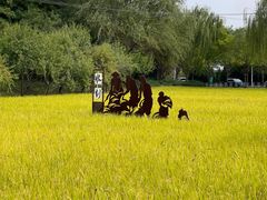 -北坞公园