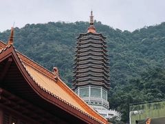 -深圳仙湖植物园