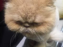 -小时光咖啡馆(开森度假森林店)