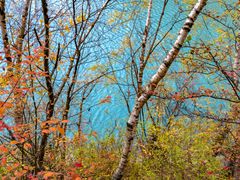 -叠溪松坪沟景区