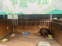 -廊坊固安福朋喜来登酒店