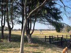 -山明水秀大饭店