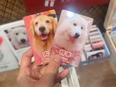 -和它·交个朋友·狗咖猫咖(爱琴海店)