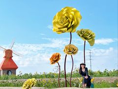 -杭州湾海上花田景区