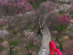 -无锡梅园公园