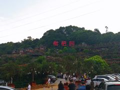 -枇杷园食为鲜火锅(南山店)